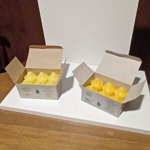 PartyLite Citronella Scented Votive Candles - Set of 12